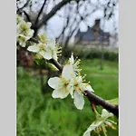 La Lanterne: Grande Maison A Deux Pas De La *