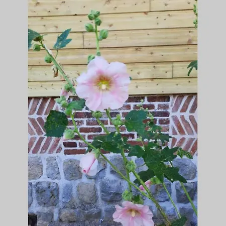 Hébergement de vacances La Lanterne: Grande Maison à Deux Pas De La La Chapelle-sur-Dun