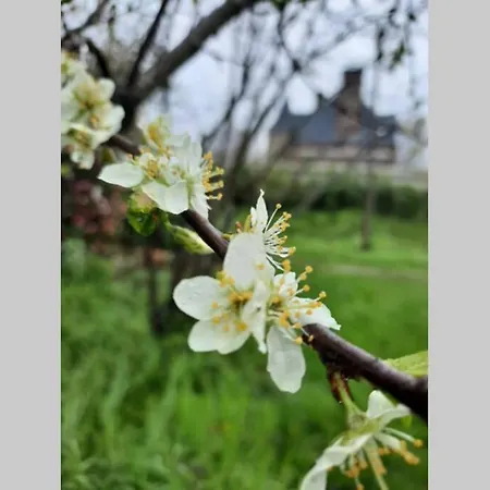 La Lanterne: Grande Maison A Deux Pas De La *